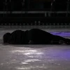 Stéphane Lambiel (Generalprobe)