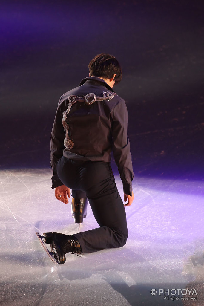 Stéphane Lambiel "Bring me to life"