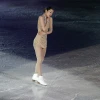 Shizuka Arakawa