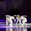 Cover for Art on Ice St. Moritz 2013