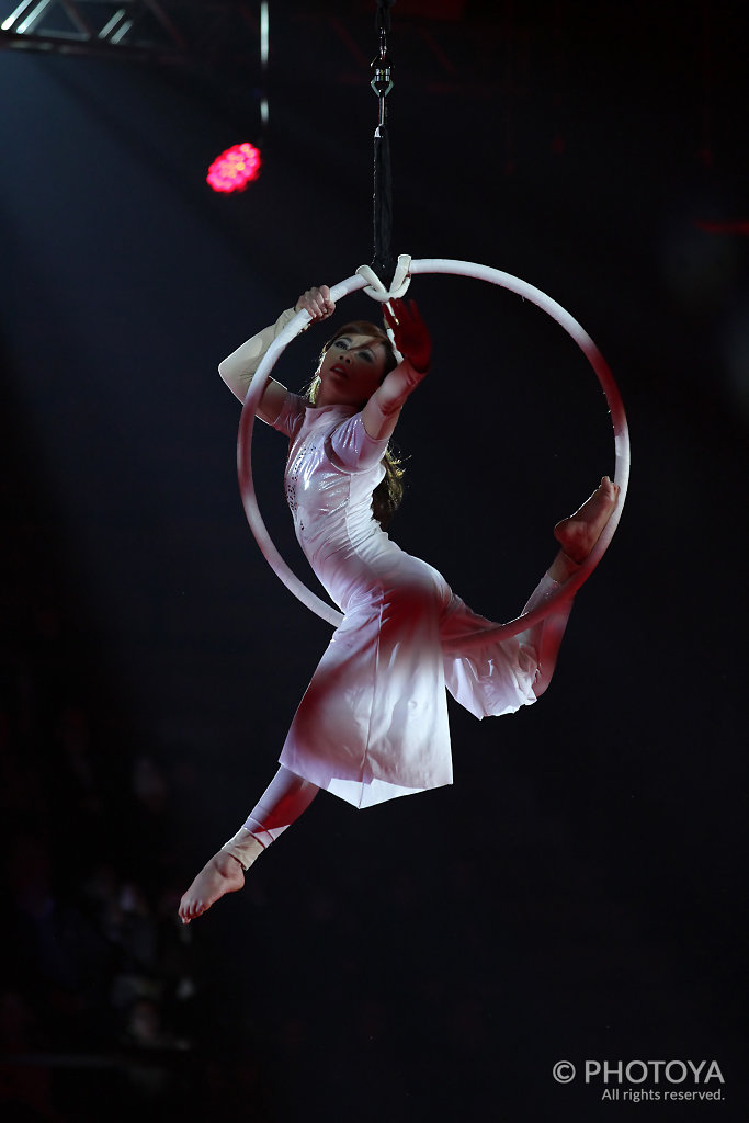 Debbie Park and her Aerial Experience Angels