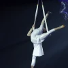 Debbie Park and her Aerial Experience Angels