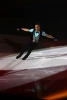Florent Amodio