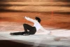 Stéphane Lambiel
